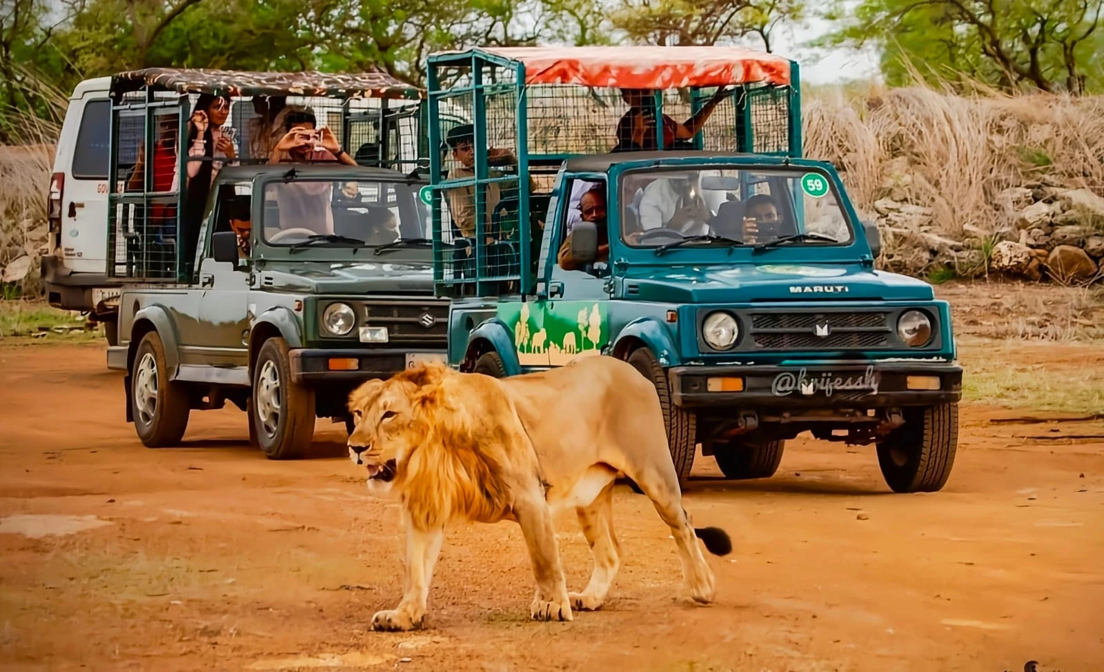 Devaliya Safari Park (Interpretation Zone)